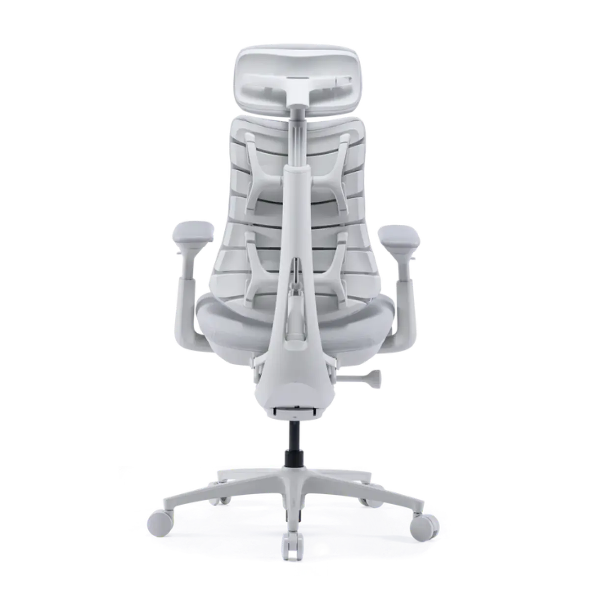 LiberNovo Omni Pro